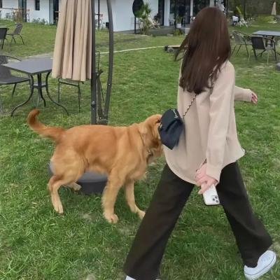 中国有滋味